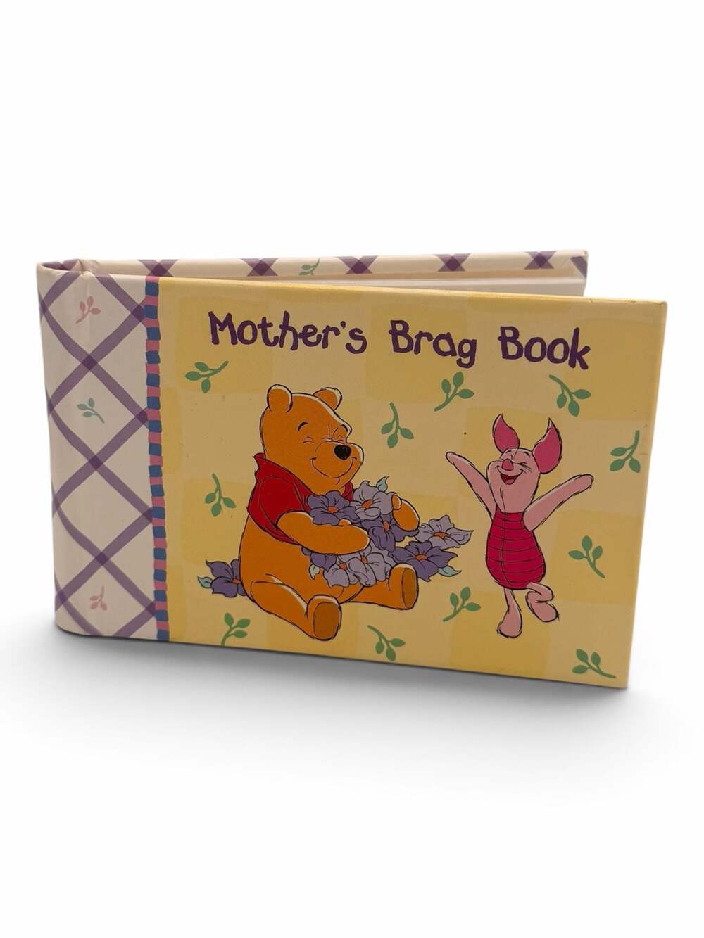 Disney Winnie The Pooh and Piglet Mother's Brag Book Photo Album Stepping Stones